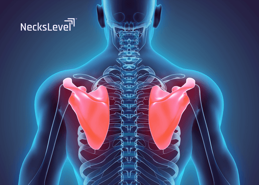 Shoulder Blades & Neck Pain | NecksLevel Rehab